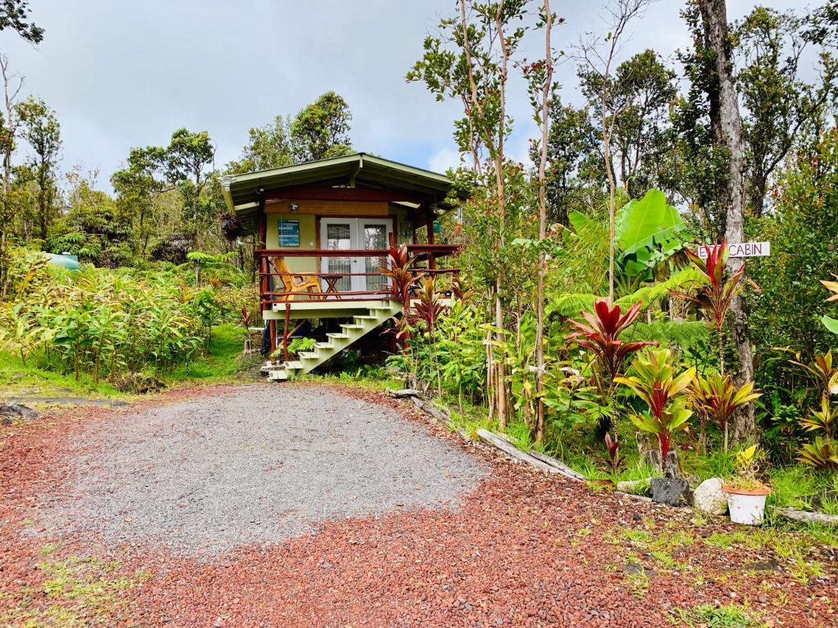 Volcano Eco Cabin & Eco Lodge Εξωτερικό φωτογραφία