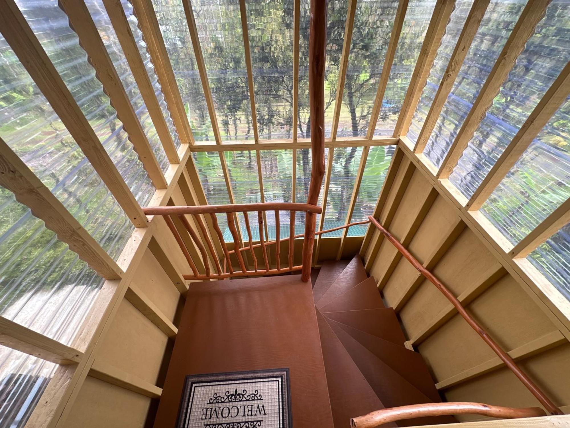 Volcano Eco Cabin & Eco Lodge Εξωτερικό φωτογραφία